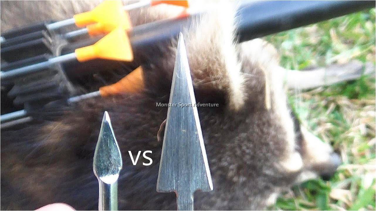 Cold Steel B625M Mini Broad Head Darts for Big Bore .625 Blowgun, 50 Pack